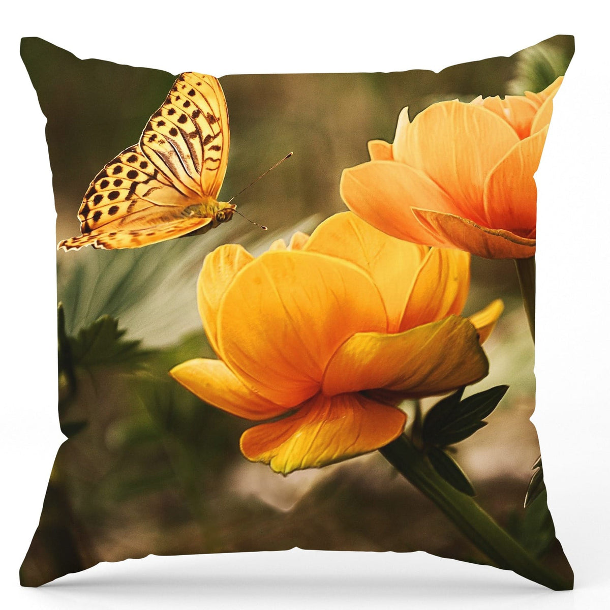 Pack of 2 pack velvet decorative print cushion ( multi )