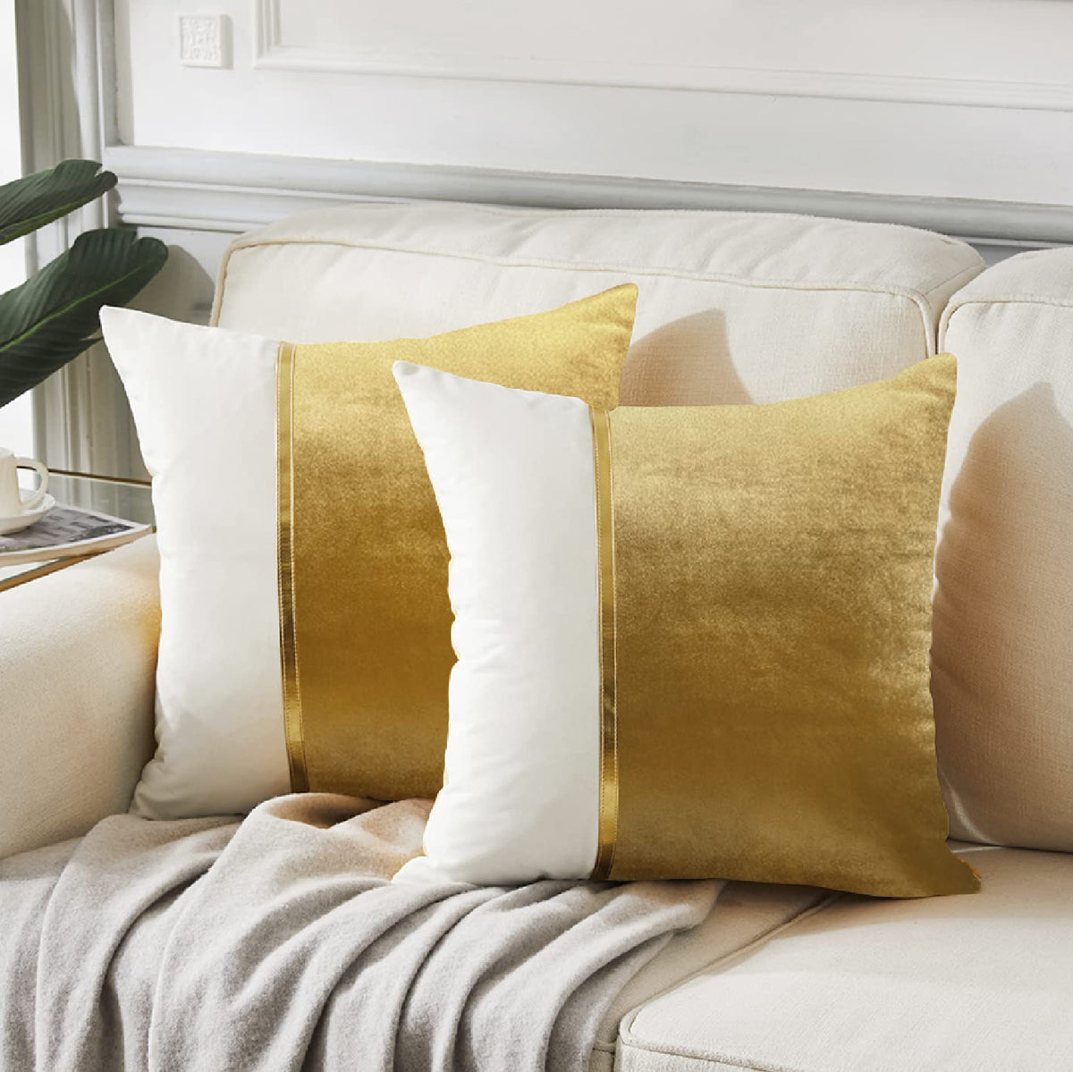 Pack of 2pack velvet decorative cushion ( multi )