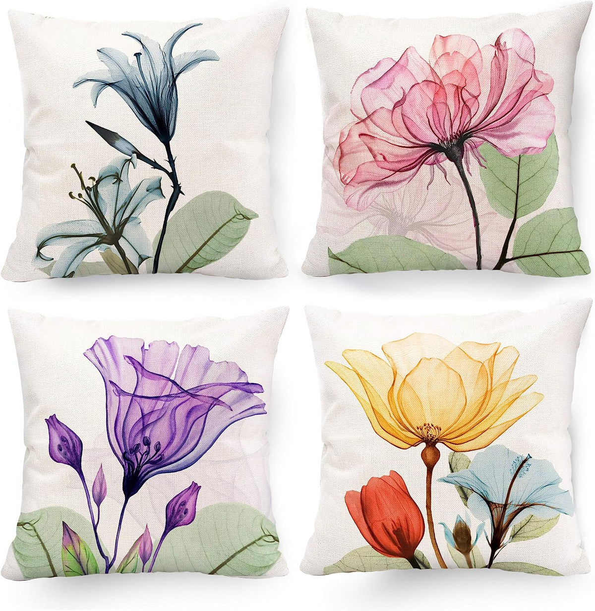 Pack of 4 pack velvet  print cushion  ( multi )