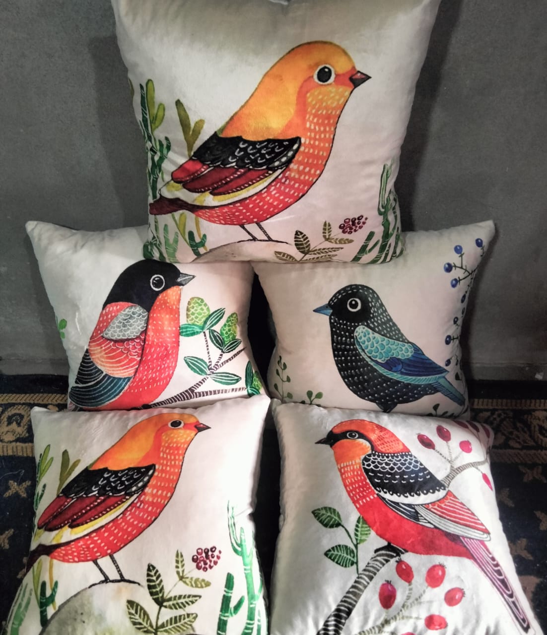 Pack of 5 pack velvet print cushion ( multi )